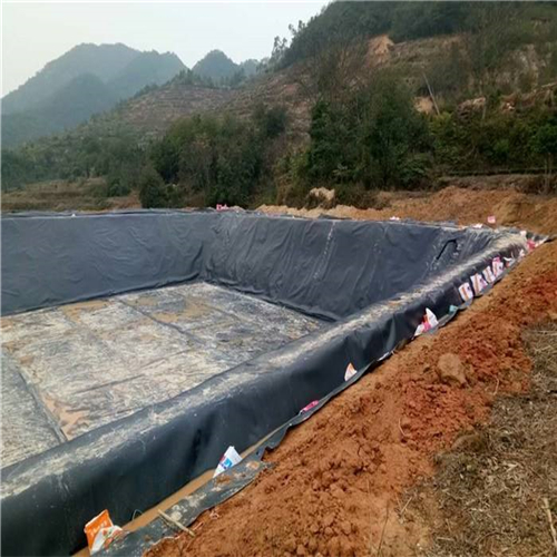 您了解魚塘防滲膜施工方法有哪些嗎？